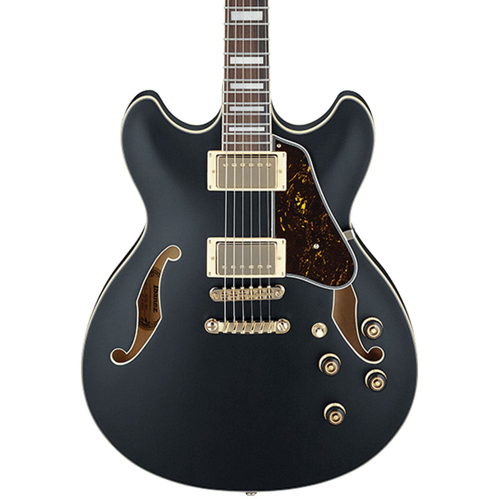 epiphone dobro hound dog