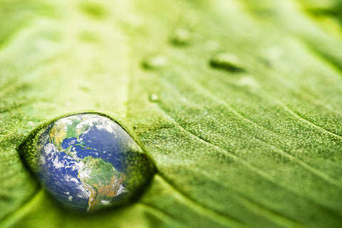 world in a water drop on a leaf