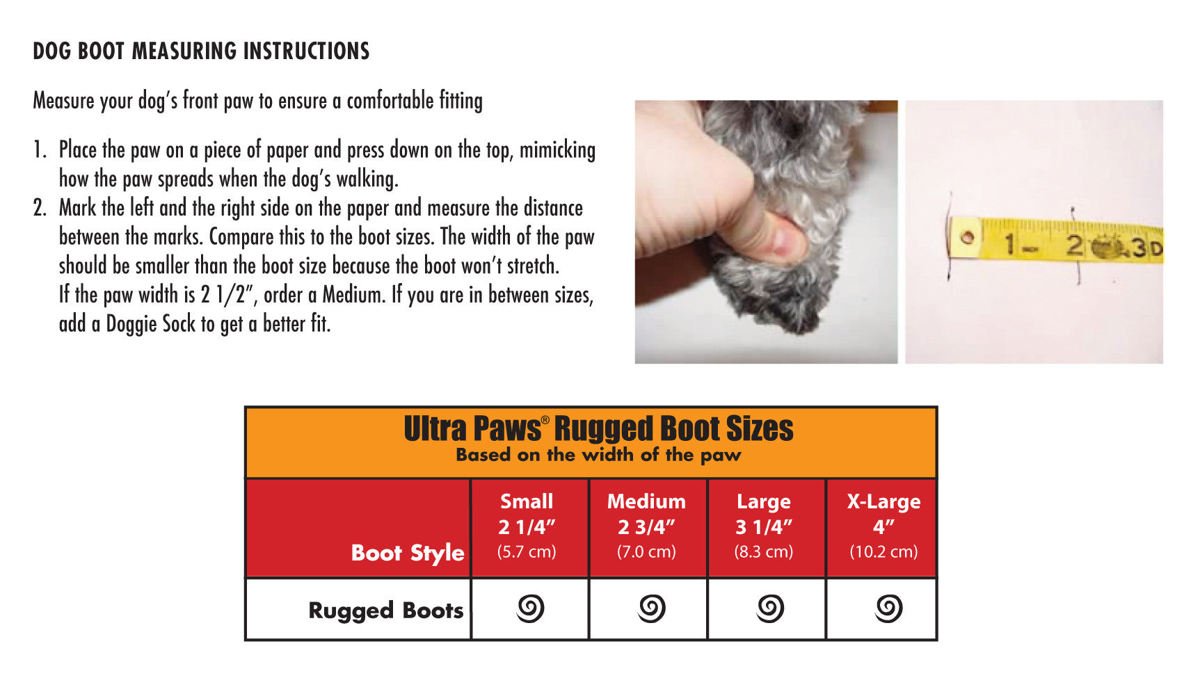 Paw Size Chart