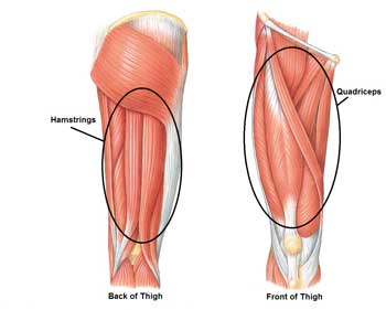 Hamstring and quadricep pain relief from an Active650 Thigh Support