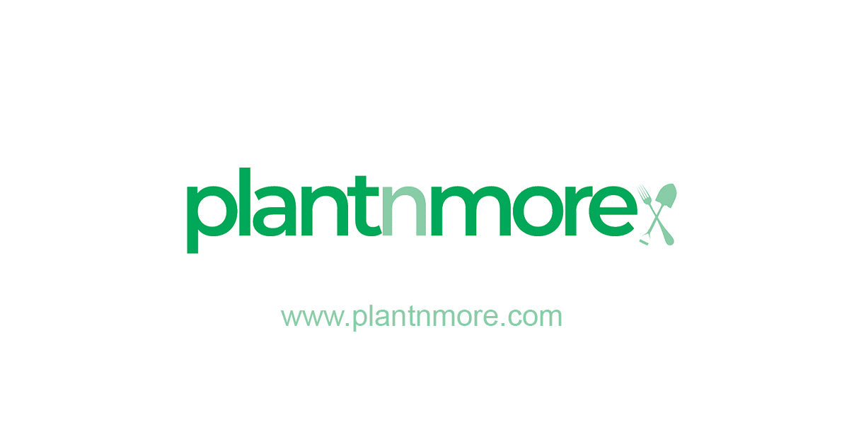 Plantnmore – plantnmore