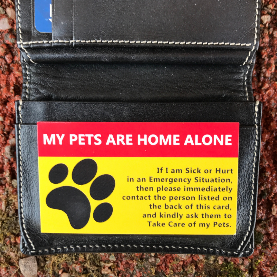 Our Pet Card - emergency pet care cards for cats and dogs