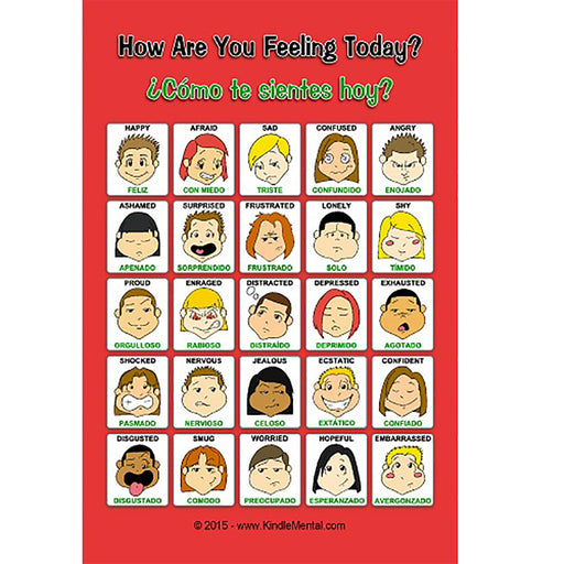 Mini Spanish English Feelings Poster Set Of 12 Childswork Childsplay Childs Work Childs Play