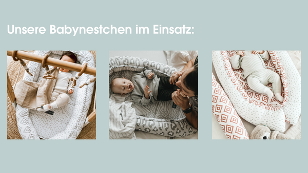 Unsere Babynestchen im Einsatz