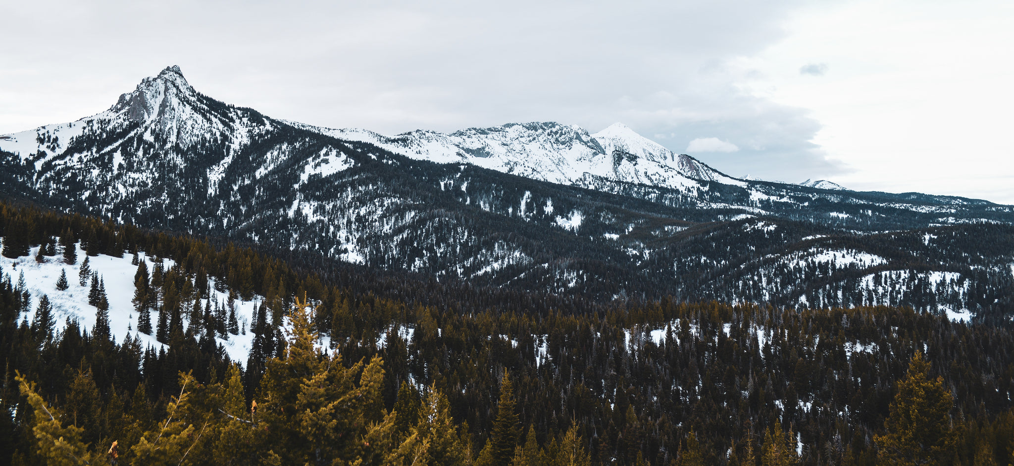 North Bridger Range