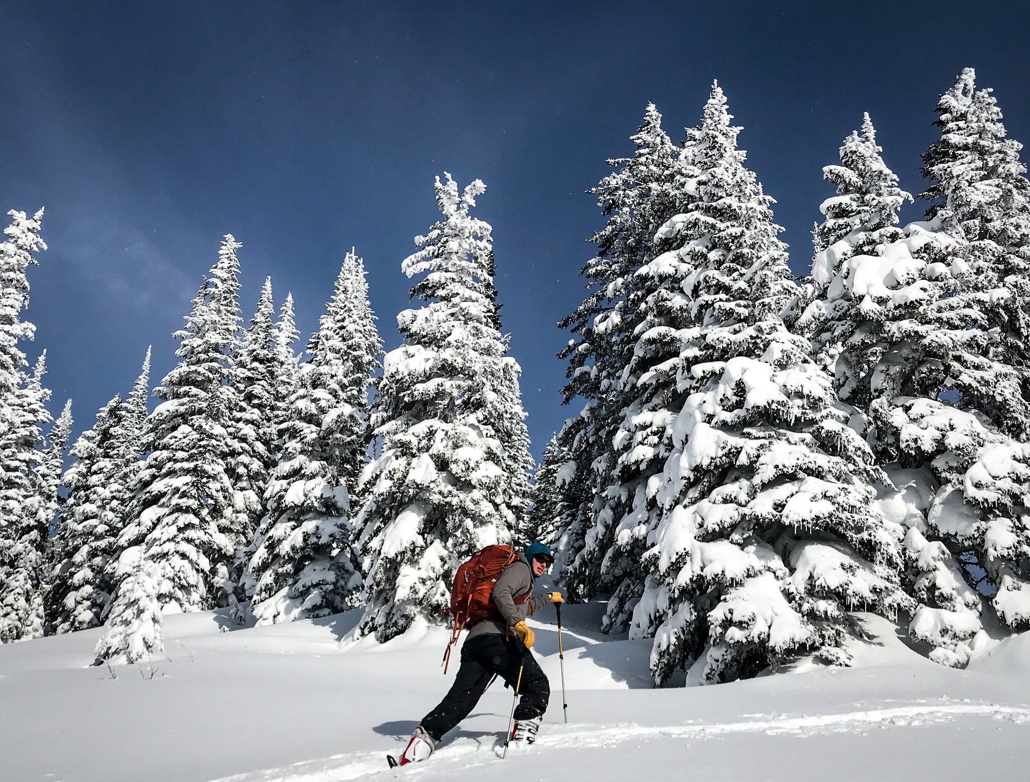 Bluebird Day Skin Track