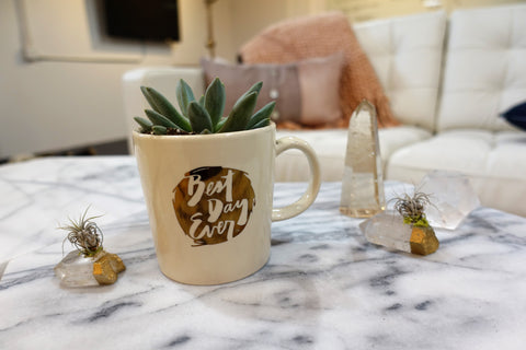 This Best Day Ever Mug is on sale! Details on the Best Day Ever blog.