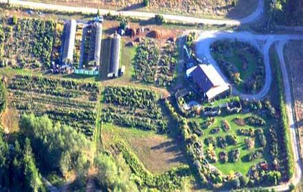 aerial view of the grounds