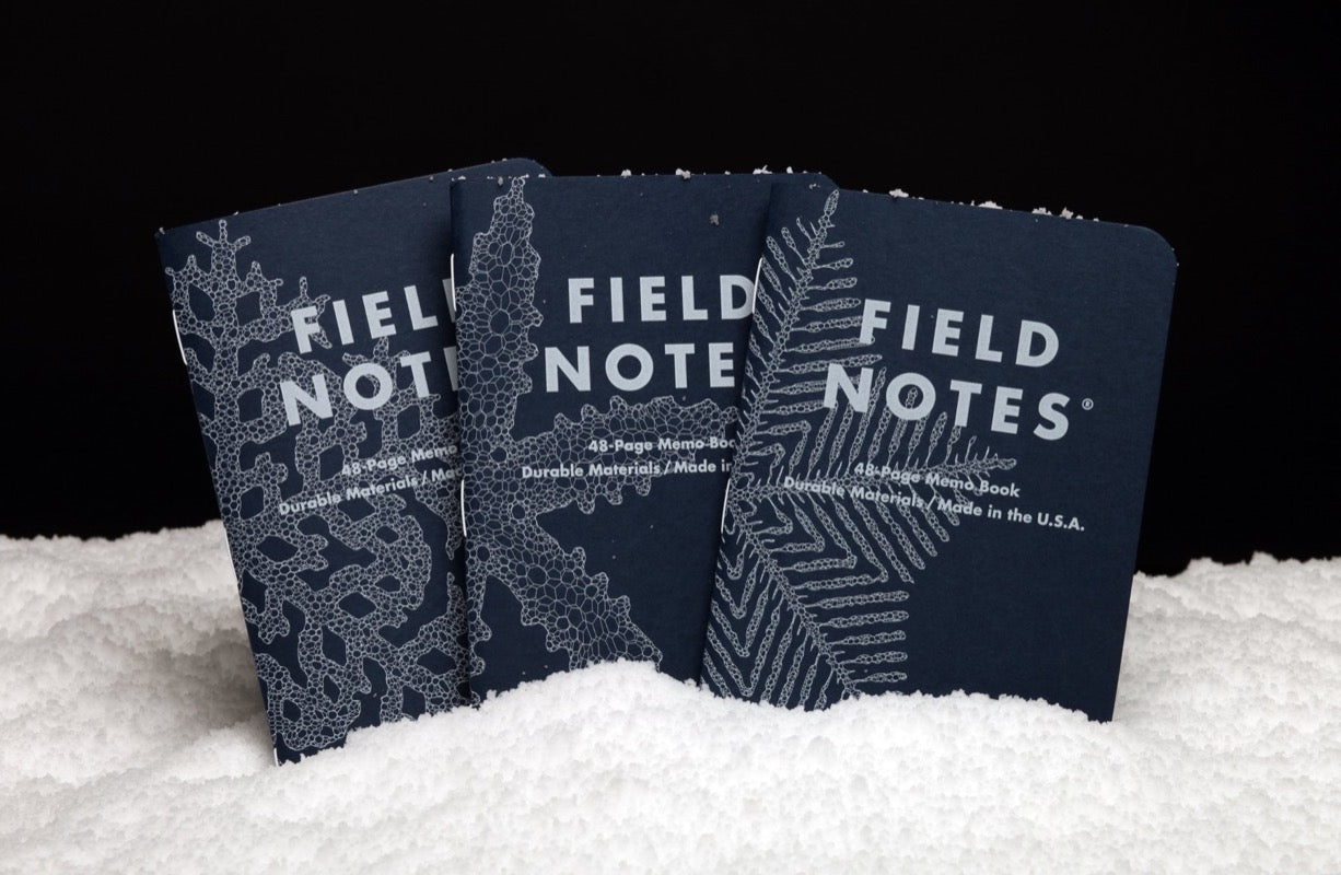 Field Notes -Snowy Evening