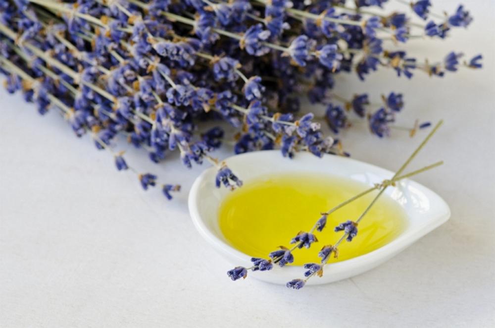 Lavender oil - Kiwicorp