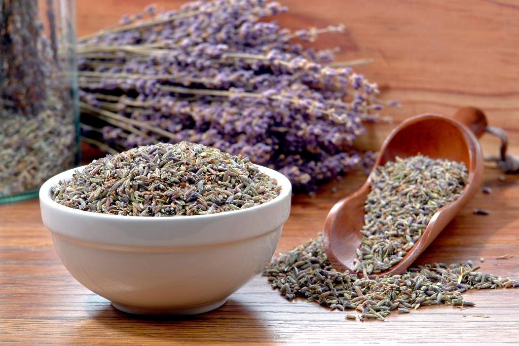 Lavender seeds | Kiwicorp | New Zealand