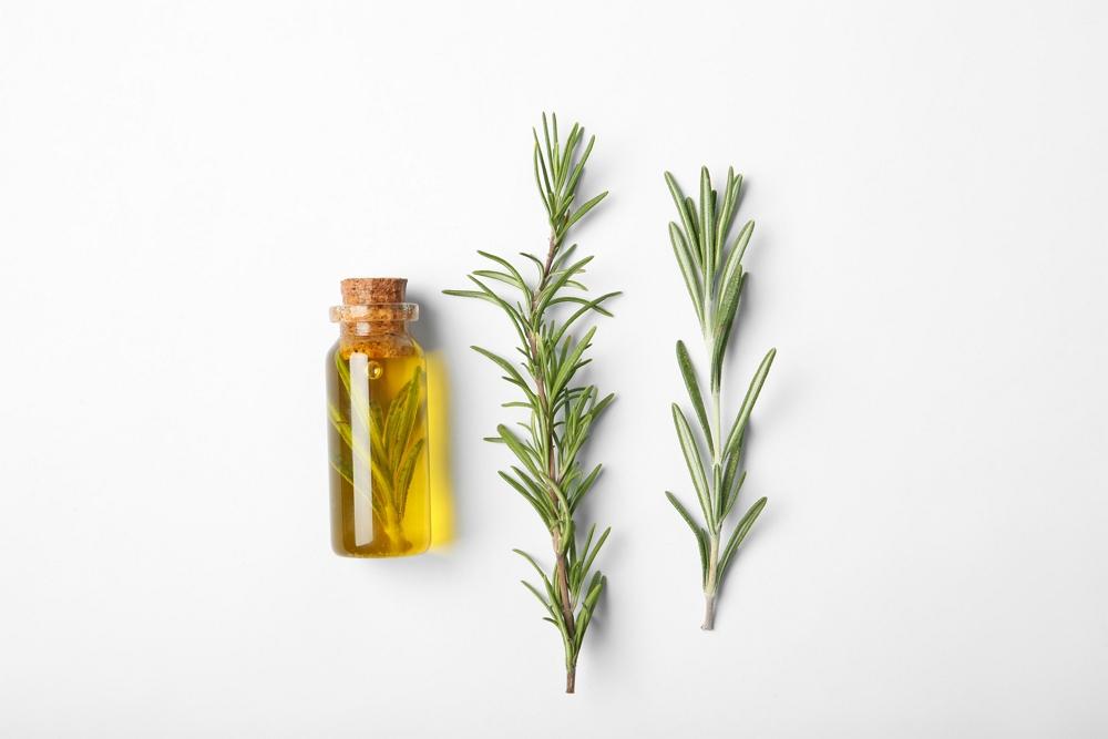 Rosemary oil - Kiwicorp