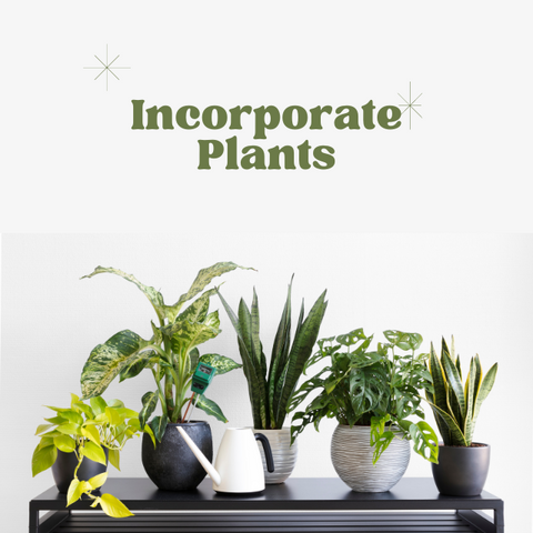 EMF-plants
