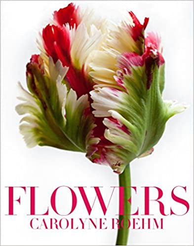 A Blooming Earth: Flowers from Every Continent: Orlandini, Diego