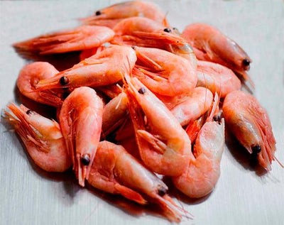 coldwater prawns 908g