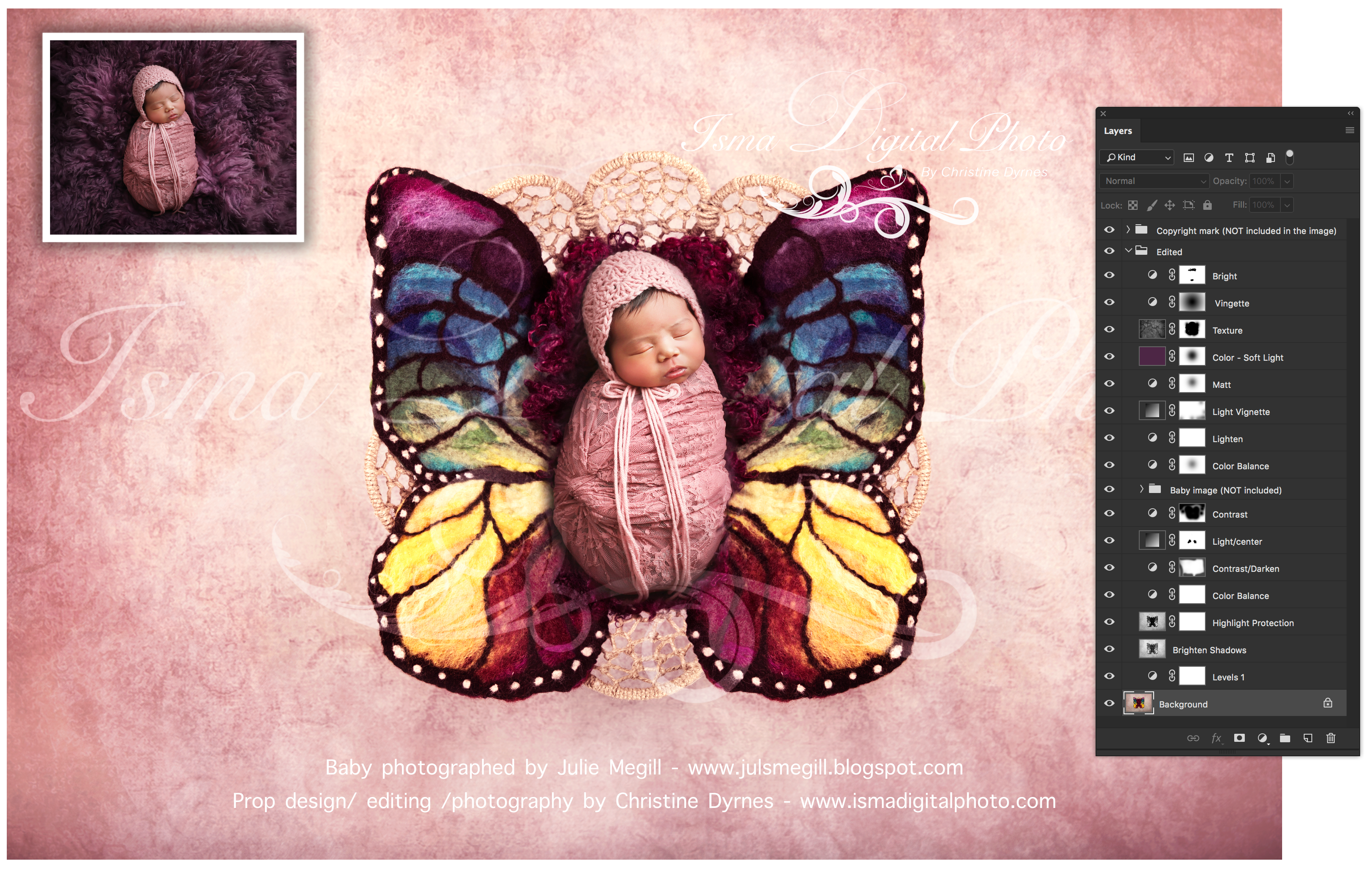 Newborn felted wool butterfly 1  Digital Backdrop /Props for Newborn /baby photography - High resolution digital backdrop /background - One JPG and one PSD file with layers