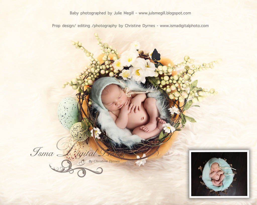 Easter Wreath With Flower - Beautiful Digital background Newborn Photo –  Isma Digital Pphoto