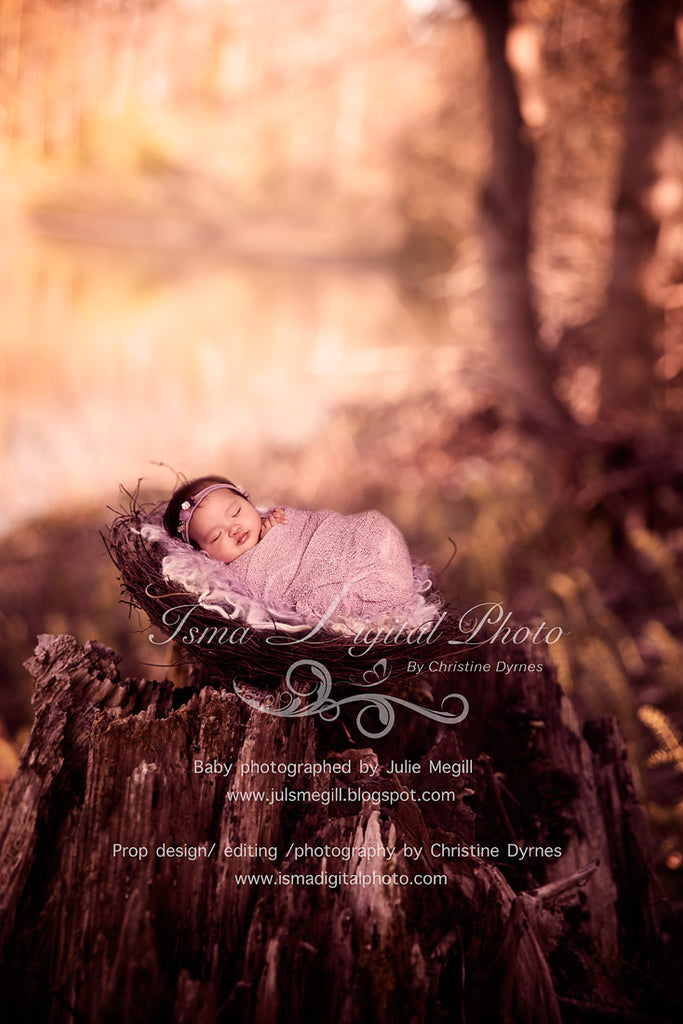Nest Nature Autumn - Beautiful Digital background Newborn Photography –  Isma Digital Pphoto