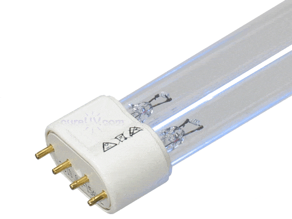 uv100a1059