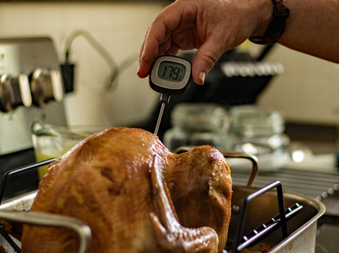 Image of cooked turkey with meat thermometer