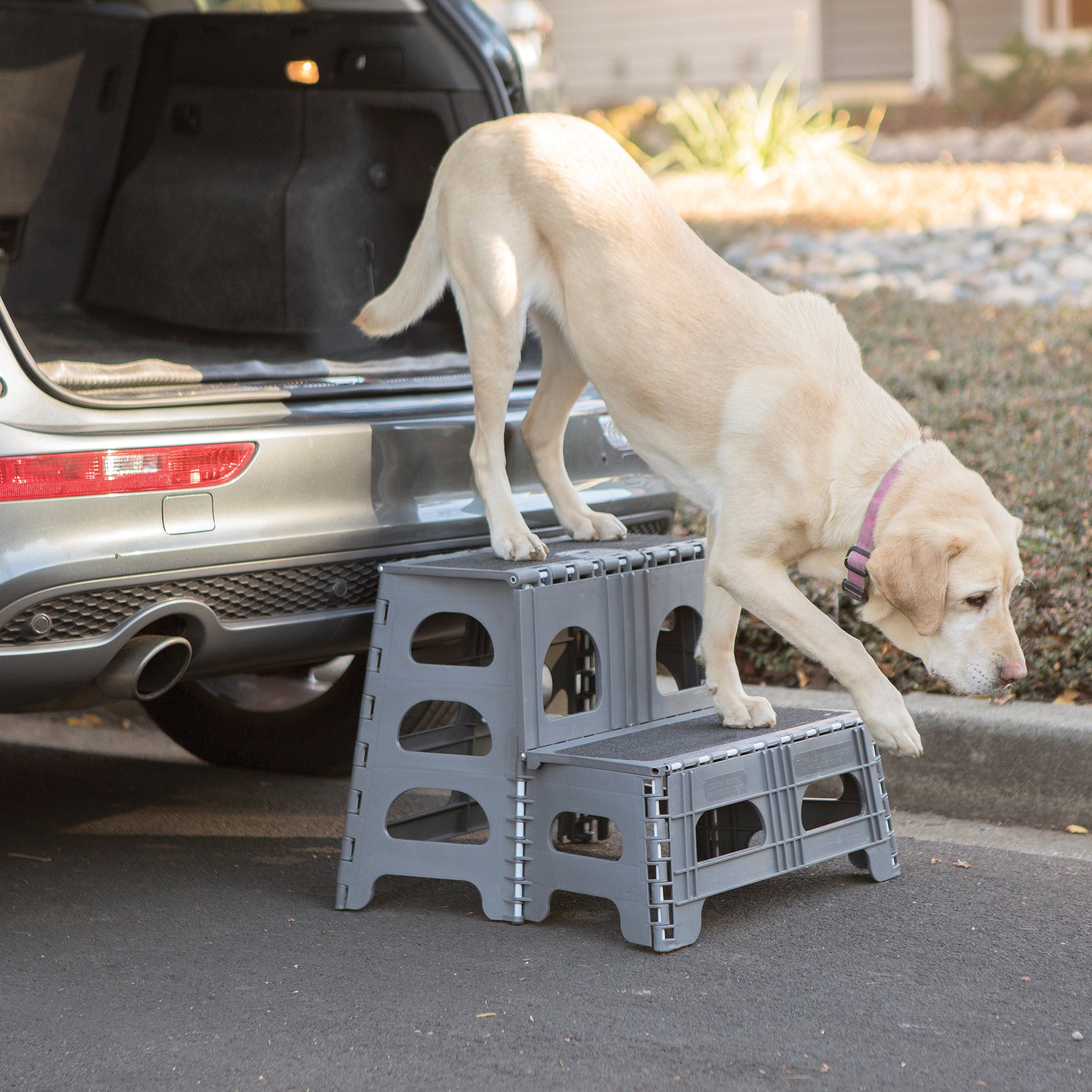 tailgate dog step