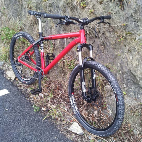 ns hardtail frame