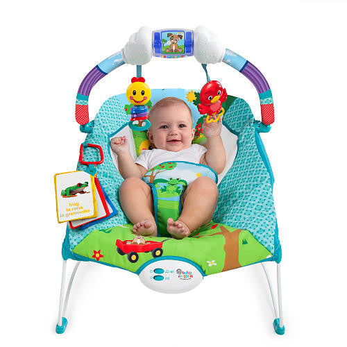 Baby Einstein Caterpillar S Day At The Park Bouncer