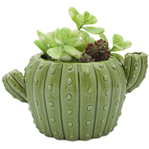  Cactus  Flower Pot  Streamline