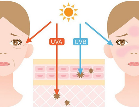 bro vệ da khỏi tia UVA UVB