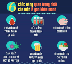 bảo vệ lá gan 