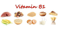 vitamin B1 trong thực phẩm