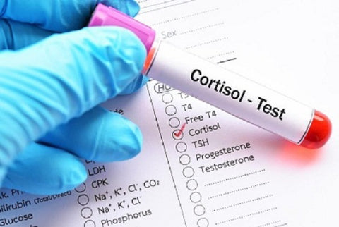 cortisol làm tăng nguy cơ tử vong do covid 19