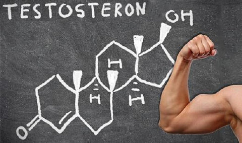 không nên dùng bừa testosterone