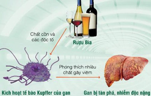 sẩn ngứa do gan