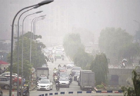 ô nhiễm không khí gây sa sút trí tuệ