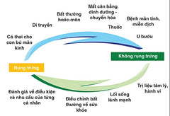 rụng trứng là dấu hiệu cơ thể khỏe mạnh