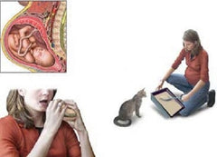 lây nhiễm toxoplasma ở mẹ bầu