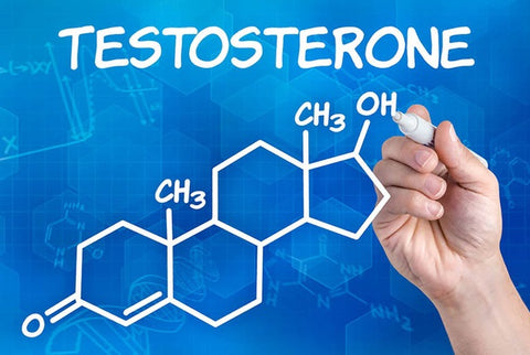 testosterone ở nam giới 