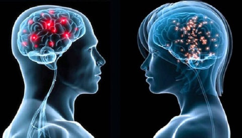 tình dục ảnh hưởng đến não bộ như thế nào
