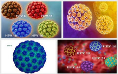 virus HPV gây ung thư
