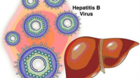 viêm gan virus và tình dục