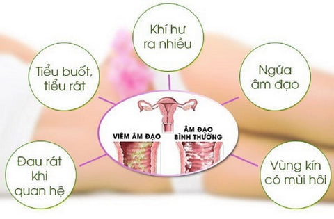 viêm nhiễm âm đạo