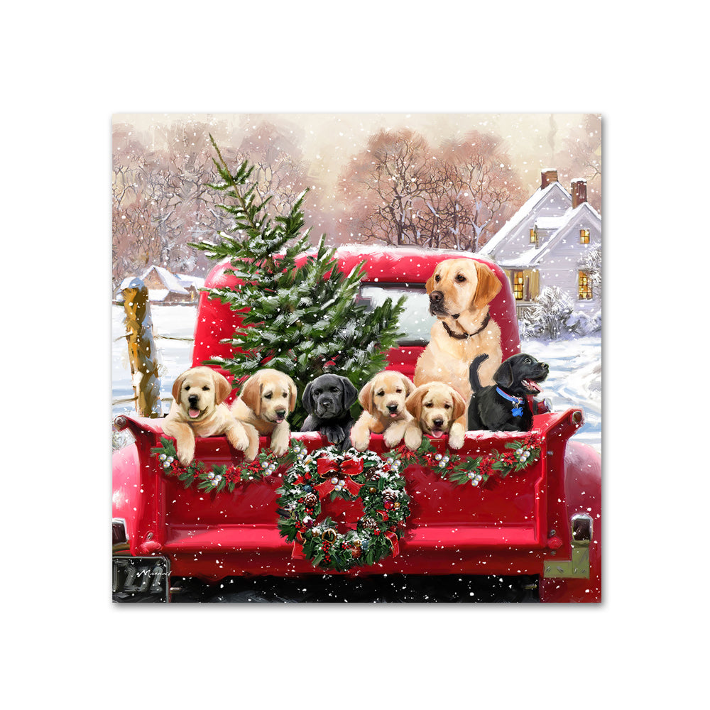 Mary Lake-Thompson Sponge Cloth Winter Holiday Red Truck, Black Lab,  Christmas Tree