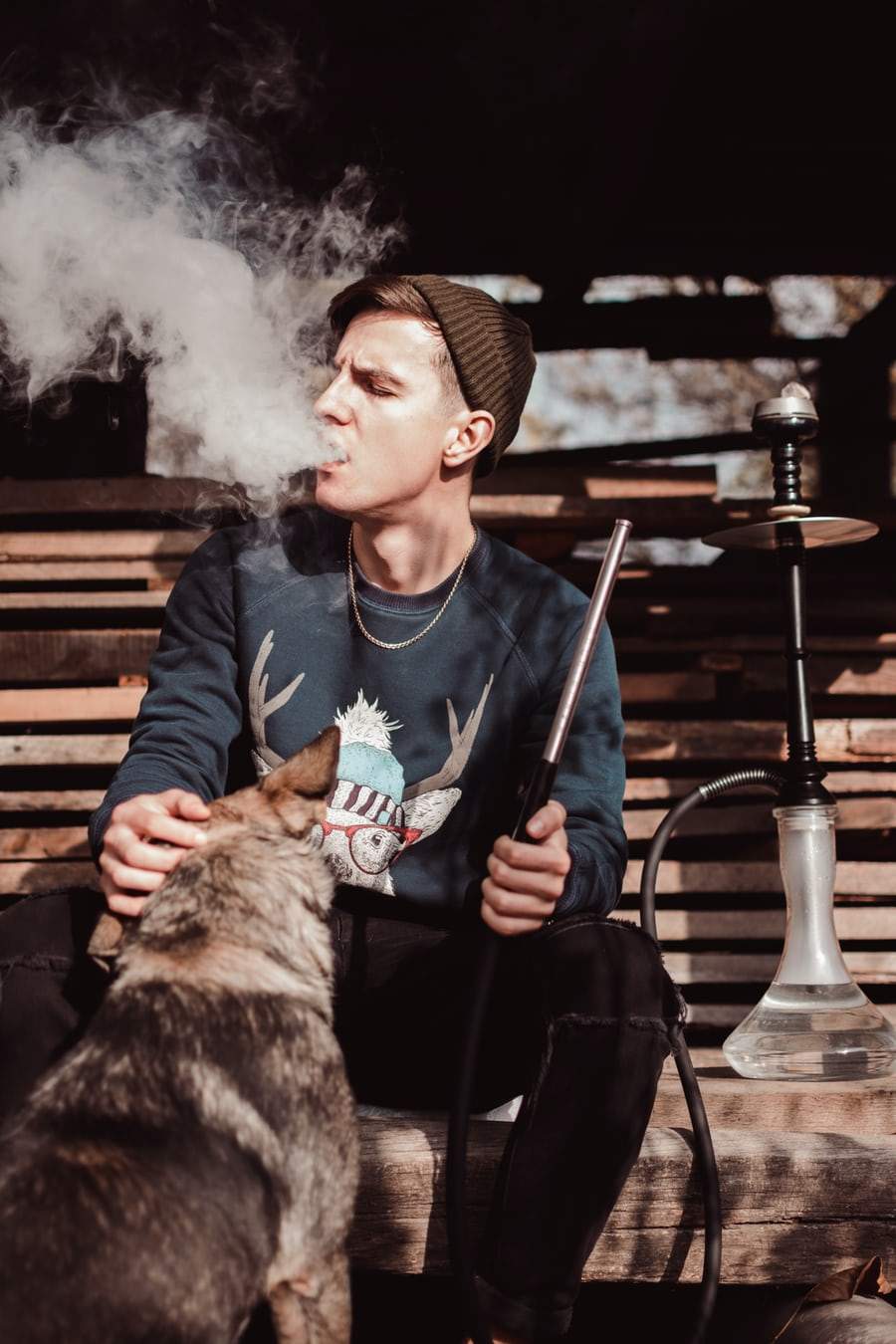 Vaping and Your Pets: Everything You Need To Know