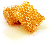 Raw Living Honey
