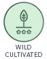 Wild Cultivated