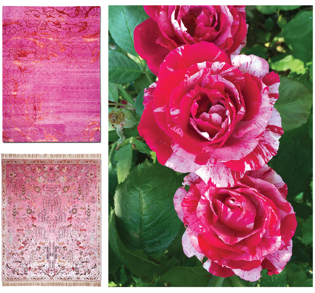 Extraordinary pink rugs and roses