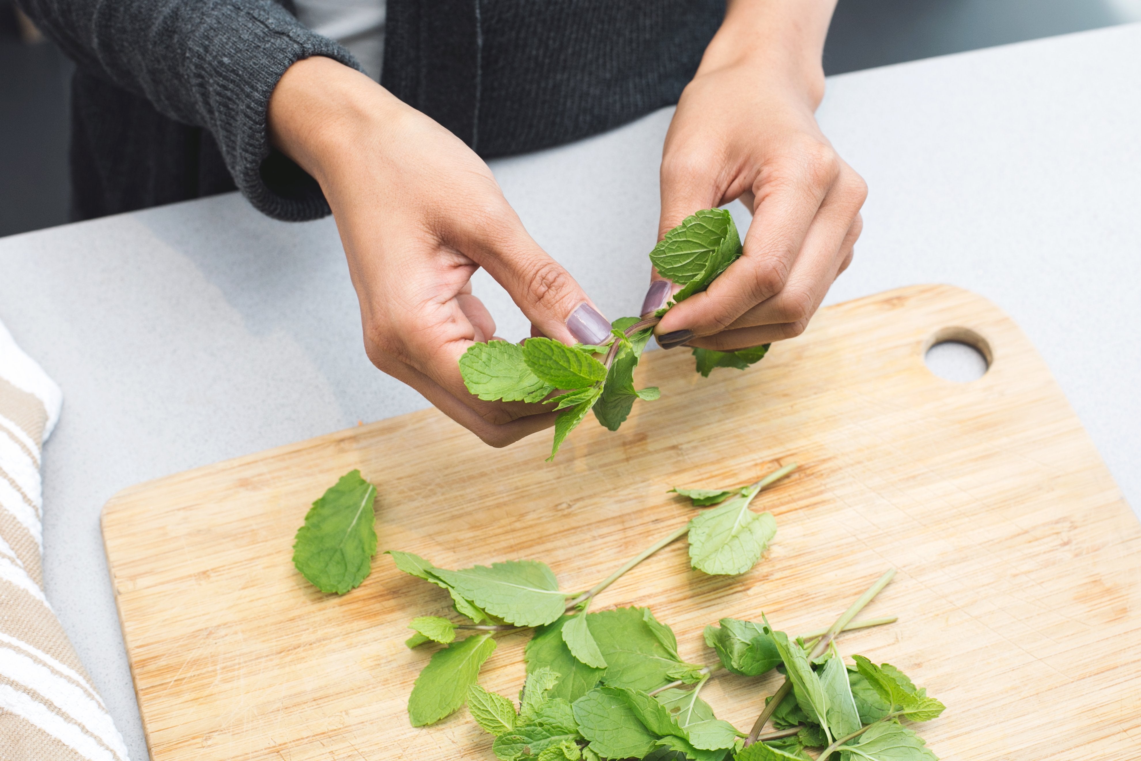 Woman plucking mint leaves