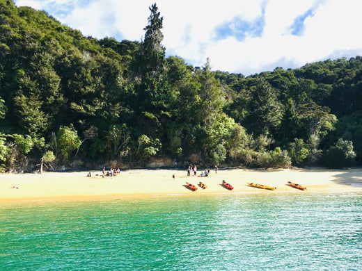 The Good Things About 2020 ... Able Tasman National Park Sea Kayaks