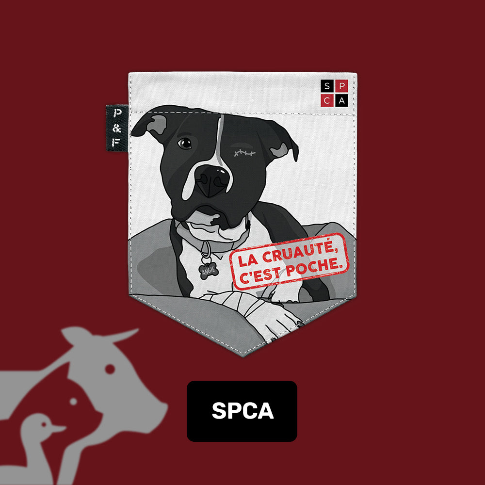 Poches & Fils x SPCA de Montréal